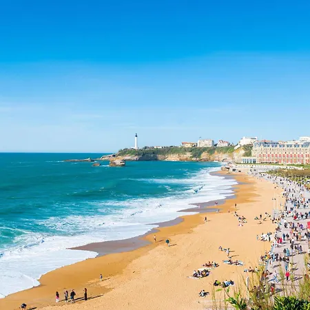 فندق Mercure President 4*