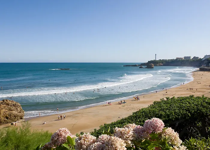 Mercure President 酒店